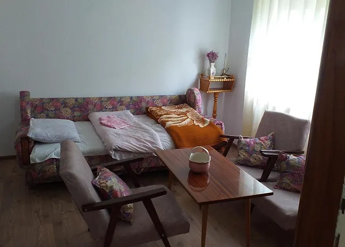 Apartment Elena Kikinda